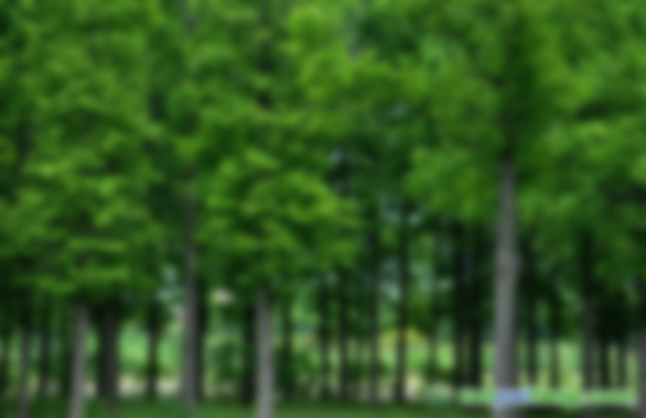 如何開發(fā)林業(yè)碳匯項目需要哪些文件資料？