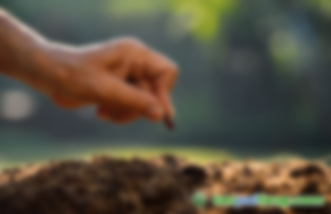 區(qū)塊鏈應用新場景 | 聯合國“氣候鏈聯盟”將借助區(qū)塊鏈技術應對氣候變化