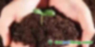 通威新能源有限公司光伏發(fā)電項(xiàng)目中國核證減排量（CCER）項(xiàng)目開發(fā)服務(wù)采購比選邀請(qǐng)函