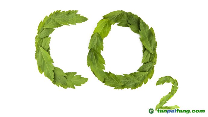 碳交易市場運行的中國經(jīng)驗