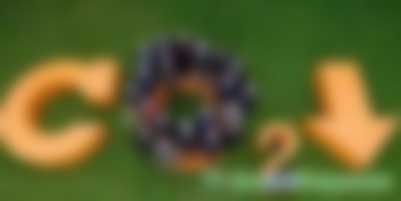 福建碳市場(chǎng)履約率達(dá)100%！