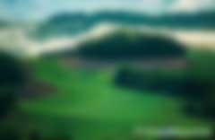 碳匯交易補貼多少錢一噸以及樹林怎么計算碳匯量，哪個交易所價格最高