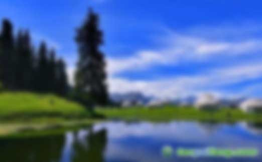 《黑龍江省林業(yè)碳匯經(jīng)濟發(fā)展規(guī)劃（2019-2030）》:至2030年將完成406萬公頃碳匯項目建設(shè)，年均減排量971.4萬噸，年均產(chǎn)值可達8.84億元