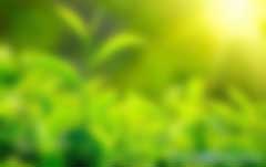 陳亞芹、別智等：國內(nèi)外綠色金融產(chǎn)品與金融政策綜述