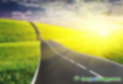 美國(guó)排放交易實(shí)踐