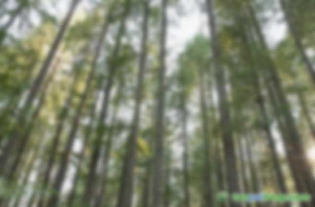 加快完善碳交易制度 推動經(jīng)濟高質量發(fā)展