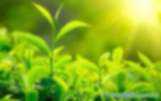 環(huán)境、社會及管治(ESG)培訓(xùn)課程招生簡章官網(wǎng)最新信息發(fā)布