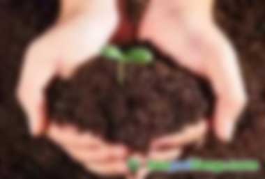 文庫網(wǎng)站資料（PPT、DOC、PDF等各行業(yè)2000萬個文檔報告文件）打包出售（硬盤版），如何購買的正規(guī)渠道