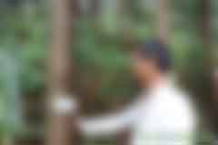 賣(mài)空氣也賺錢(qián)！貴州單株碳匯實(shí)現(xiàn)生態(tài)和扶貧雙贏