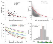 長得快的樹木活不長，或影響碳儲(chǔ)量