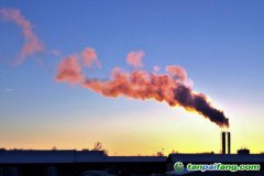 人社部碳交易師和碳排放管理師哪個好？證書有用嗎？再哪里報考的官方報名入口來了