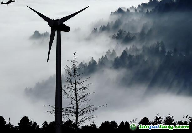 CCER重啟需多部委協(xié)作，若持續(xù)難產(chǎn)或?qū)⑦M(jìn)一步推高2022年國家碳市場均價