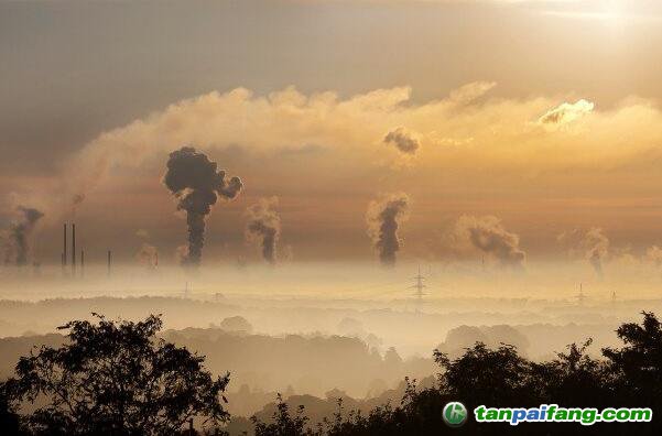 全國碳市場從何而來，又會走向何方？