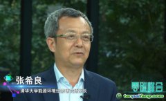 張希良：可適當引入有償碳排放配額、碳稅機制