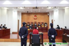 碳匯修復(fù)，解鎖生態(tài)司法綠色基因