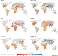 氣候變化將威脅主糧作物產(chǎn)量?jī)H水稻可能幸免