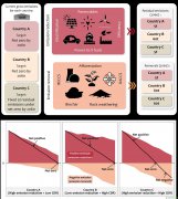 我國科學(xué)家提出“雙軌”方案破解降碳困局