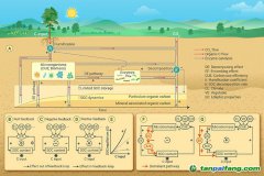 微生物碳利用效率高會(huì)抑制土壤固碳