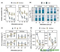 種樹越久，固碳越慢？研究揭示飽和趨勢(shì)