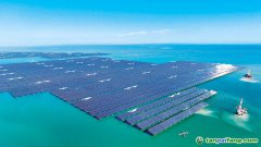 以“雙碳”牽引綠色轉型 筑牢美麗中國建設根基